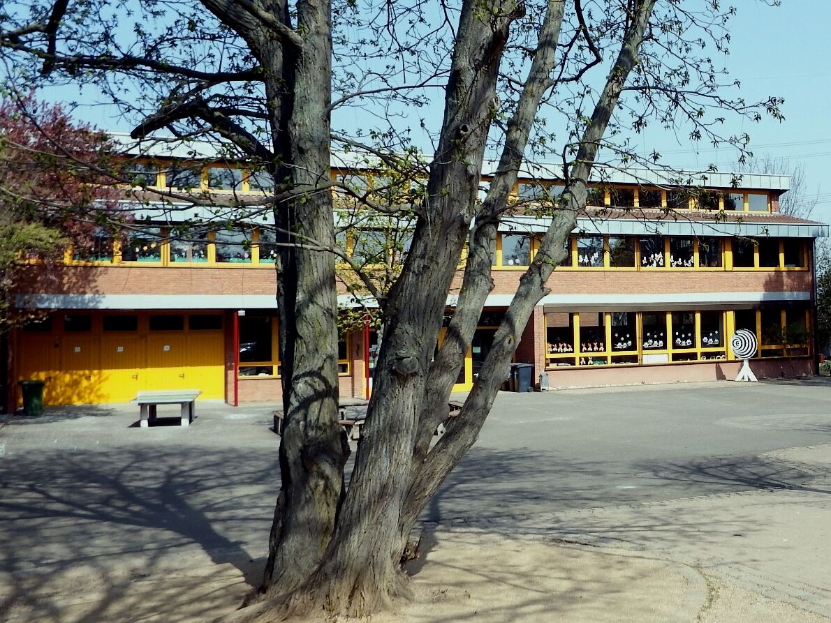 Hygieneplan-Corona für die Schulen in Rheinland-Pfalz